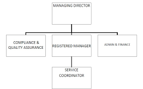 organisational structure icrit healthcare