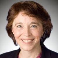 300+ "Miraldi" profiles