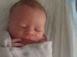 Fundraiser for Richard Callegari by Lauren Gaddis : Jack Loutzenhiser