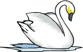 Baby Swan Clipart Black And White Swan Clipart Art Art Clipart Clip Art