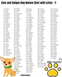 Looking for names that start with a for your female dog? Dog Names That Start With F For Girl And Boy Dog