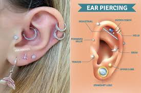 Those girls care less about 'mr. What Is A Helix Piercing Here S Your Ultimate Guide Let S Eat Cake
