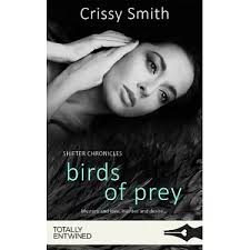 博客來-Birds of Prey