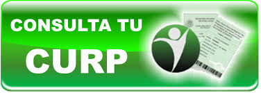 Requisitos, consulta de saldo, trámites por. Consulta De Curp Archivos Hbautista S Blog