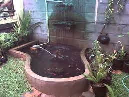 Merah merah di tubuh dan sirip koi salah satu gejala… Pancuran Kolam Ikan Koi Youtube