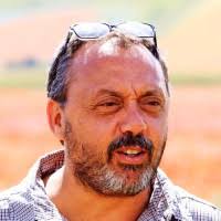 50+ profili “Tedone”