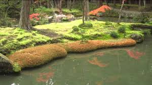 6 february) is available to order from telegraph books at £26 + £1.35 p&p. Japanese Gardens Beautiful Moss Gardens Gorgeous Gardens Gardens Youtube