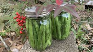 You'll need enough to completely fill a 16 oz. How To Can Green Beans Down To Earth Homesteaders
