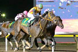 お前に頼んでるわけじゃない, 寝てたわけじゃないんですよ, 忘れるわけないじゃん, それが悪いってわけじゃないんだけど, たくさんあるわけじゃない. ãƒ€ãƒ¼ãƒˆã‚°ãƒ¬ãƒ¼ãƒ‰ç«¶èµ° ã‹ã—ã‚è¨˜å¿µ Jpni ãŠãƒˆã‚¯æƒ…å ± æ¥½å¤©ç«¶é¦¬