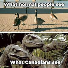 Monique M On Twitter Canadians Know The Truth