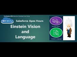 Einstein Vision And Language Youtube
