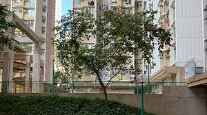 雨光 (2021) (未上映)  演员 . ä½³å®šé›†åœ˜ æ›‰éº—è‹'