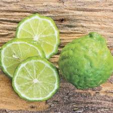 Rinds split at the bottom of fruit after tree stress, such as extreme weather, inappropriate irrigation, and potassium deficiency. Citrus Kieffer Lime Lime Fruit Lime Tree