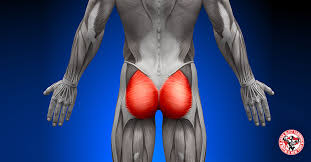 You should feel them if you feel a pinching sensation or any soreness in your lower back, reinforce the tension in your abdominals and gluteals and lower your hips until you. The Benefits To Strong Glutes Jada Blitz Fitness