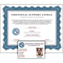 Check spelling or type a new query. Esa Documents Esa Verification Form United Service Dog Emotional Support Animal Support Animal Emotional Support
