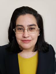 Women In Human Services Hall of Fame — Strong Nonprofits for a Better New  York