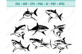 Free Free 100 Shark Clipart Svg SVG PNG EPS DXF File