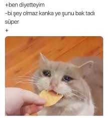 Snowdropie Adli Kullanicinin Komik Seyler Panosundaki Pin 2020 Komik Seyler Komik Goruntuler Komik