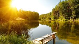 Солнце, море и нескончаемый позитив!) V Ukrainu Prishlo Babe Leto Pogoda Budet Suhoj I Zharkoj Ukrainskaya Pravda