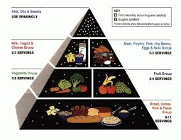 Image result for Nutrition Guidelines