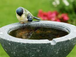 Eine vogeltränke hilft den durstigen vögeln und ist darüber hinaus eine zierde für jeden garten. Vogeltranke Aus Stein Mit Standfuss Co Selber Machen Bzw Bauen