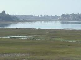 Maybe you would like to learn more about one of these? Department Of Fish And Wildlife Newport Bay Conservancy