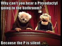 Pterodactyl The Muppet Show Muppets Funny Pictures
