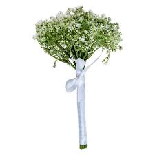 We did not find results for: Baby S Breath Bouquet White 29 Cm