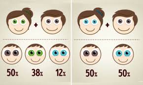 The Eye Colour Combinations Your Baby Could Have Based On