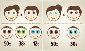 the eye colour combinations your baby could have based on