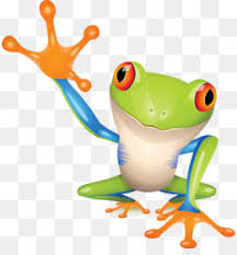 Red eyed tree frog coloring page. Frog Png Cartoon Frog Frog Vector Cute Frog Frog Silhouette Frog Art Frog Coloring Pages Frog Animated Frog Family Cleanpng Kisspng