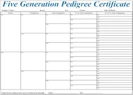 Free Dog Pedigree Templates Kozen Jasonkellyphoto Co