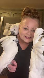 #fyp #mythreetoos @Marcie #cockatoolife #cockatoolife #birds #birdsoftiktok  #cockatoosoftiktok