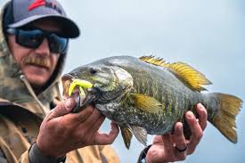 Fishing North Alabama Admin