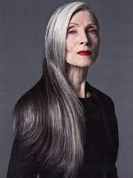 Long Straight Full Lace 22 Old Lady Wigs Lace Wigs Long Gray Hair Beautiful Gray Hair Gorgeous Gray Hair