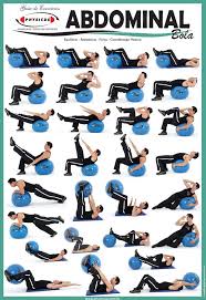 Exercise Charts For Stability Ball Balance Ball Swiss Ball