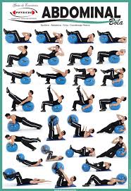 exercise charts for stability ball balance ball swiss ball