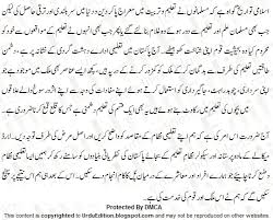 Taleem Essay Urdu Taleem Ki Ahmiyat Urdu Essay Mazmoon Urdu Speech Notes Paragraph Essay Urdu Language Essay Paragraph Essay Learn Arabic Alphabet