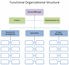 Business Organization Chart Organizational Chart Template