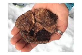 Simmer the chaga in the water for up to 3 hours. Blog The Medicinal Chaga Mushroom
