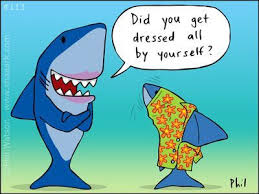 Optional Clothes Clothes Optional Funny Animal Jokes Cute Shark Scuba Diving Quotes