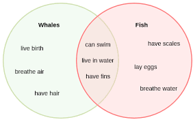 Venn Diagrams The English Classroom