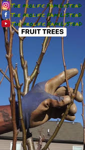 Profile for Epiphany Place