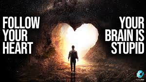 Follow Your Heart Your Brain Is Stupid The Song Official Lyric Video Youtube