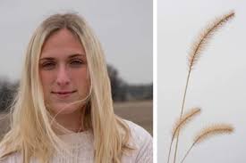 PSU represented in prestigious photo competition