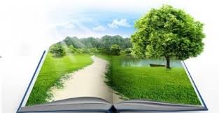 Результат пошуку зображень за запитом "картинки про визначення обсягу стратегічної екологічної оцінки генерального плану  картинки"