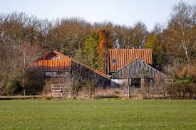 De vader van het gezin in ruinerwold dat zich 9 jaar lang afzonderde van de buitenwereld blijkt eerder uit de nederlandse tak van de moonsekte te zijn in een boerderij in ruinerwold zaten zes kinderen en hun vader jarenlang in een afgesloten ruimte. X8iotzzalxzv0m
