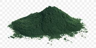 spirulina chlorella vulgaris algae nutrient powder png 720x410px spirulina algae chlorella chlorella vulgaris chlorophyll download free spirulina chlorella vulgaris algae