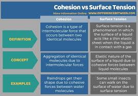 Difference Between Cohesion And Surface Tension Compare The Difference Between Similar Terms