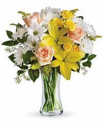 Https Www Flowersbysusan Com Bouquet Telefloras Daisies And Sunbeams P Ef Tev10 1a Skuid Ef Tev Same Day Flower Delivery Flower Delivery Best Flower Delivery